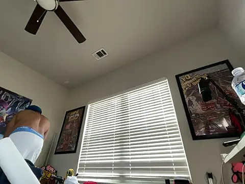 Show webcam de 4EVAGLACIERS