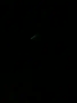 HouseOfHans' Webcam Show