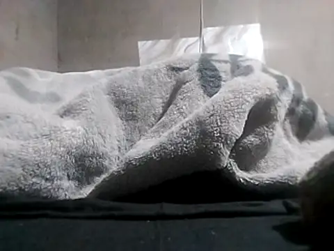 Show de LaneYam na webcam