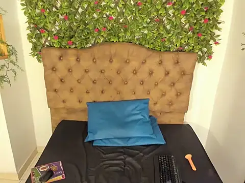 Lux_Roysen Webbikameraesitys