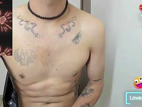 mike_smith03n Webbikameraesitys