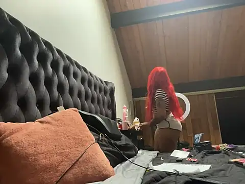 Pertunjukan Kamera Web odbodu