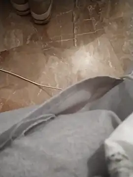 Cuginetti Webcam show