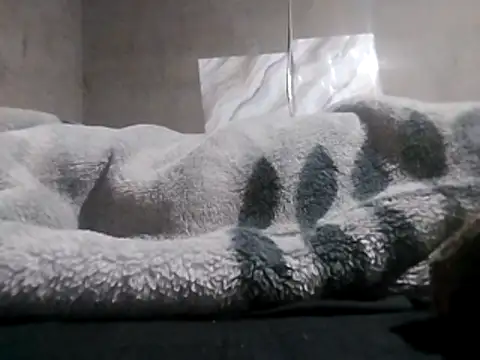 LaneYamのライブXXXチャット