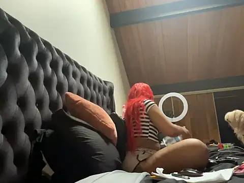 Pertunjukan Kamera Web odbodu