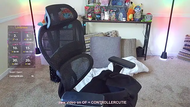 Show webcam de Controllercutie