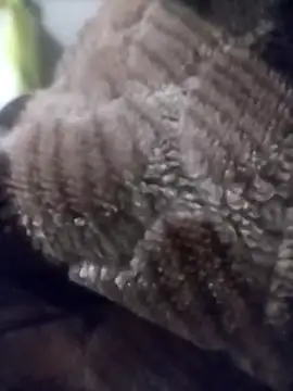 Ineed-ass Pertunjukan Webcam