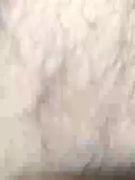 عرض كام eagle2eagle2eagle