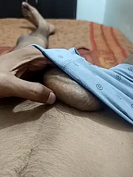 For_realmeetのウェブカメラショー