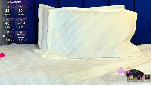 Show webcam de kiaratentation