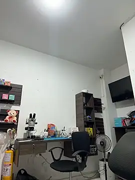 two_cam_latin 网络视讯表演