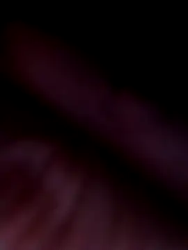 SamsonGotowyNaOstro – Kamerová šou