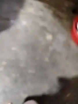 Вебкам-шоу Ginny_2x