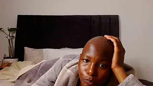 SoftRosee Live XXX-chat