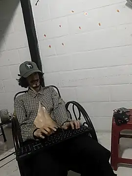 sk8-sirn Webbikameraesitys