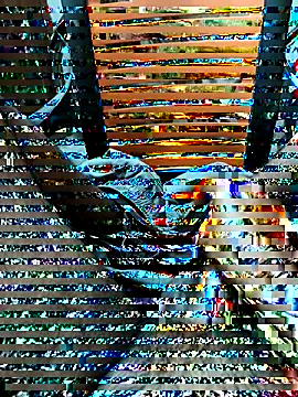 Živý XXX chat 24HOTBOY25