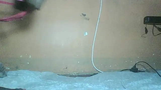 Chat XXX ao vivo de Sexyass100