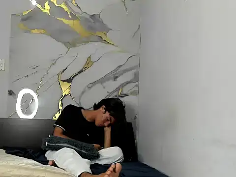 Dairomendezn Webbikameraesitys