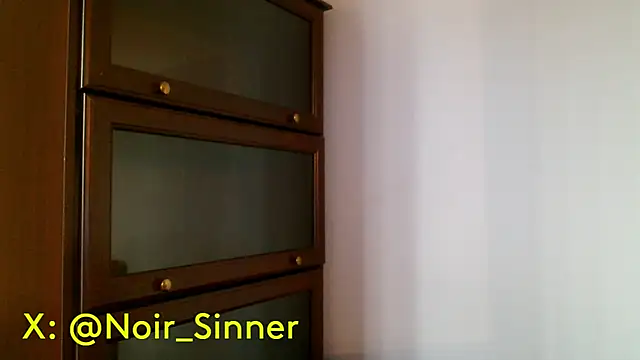 sinnernoirのウェブカメラショー