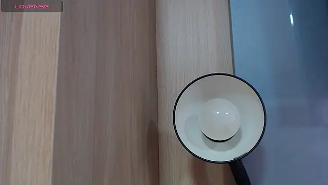 Pertunjukan Kamera Web Thegreatonelady