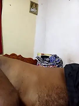 Hiptonosn Webbikameraesitys