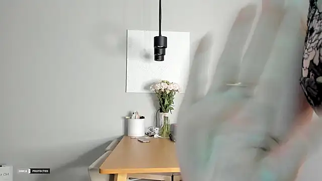 soft_katy 网络视讯表演