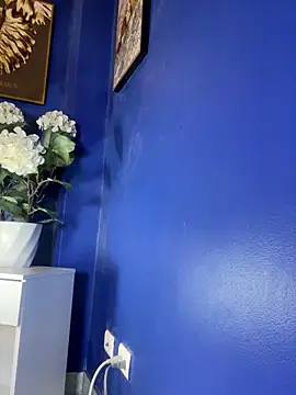 NovaFoxx 现场XXX聊天