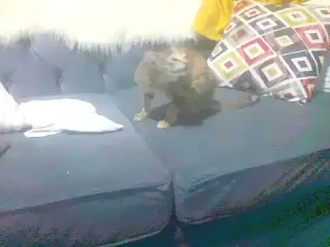 sexy22lover Webcam show