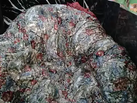 Show webcam de ASIANDOLLY4U69