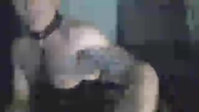 chceciedalsiebie – Kamerová šou