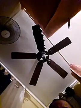 Pertunjukan Kamera Web neciosex