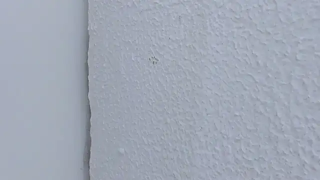 Hinaa_XXX Chat XXX in diretta