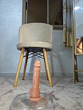 Rubi_9ahbounan Webbikameraesitys