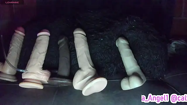 Cata-angel's Live XXX Chat