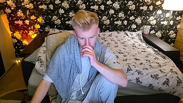 Vuittonn Webbikameraesitys