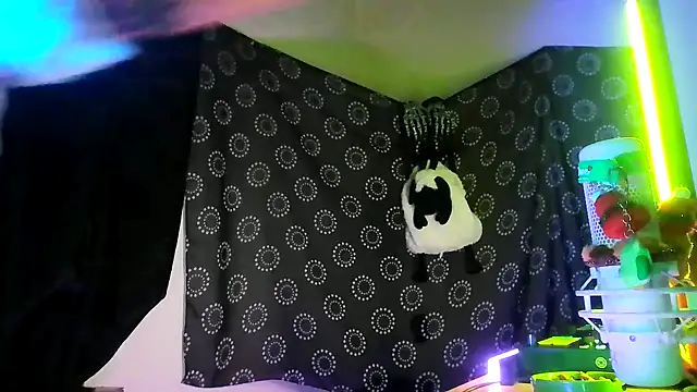 Show webcam de Guyst049