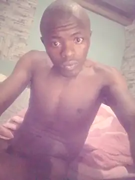 Pokazy przed kamerką – DigCrok