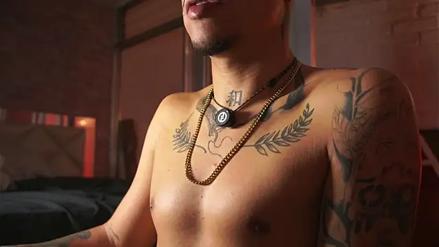 Show de webcam de AlphaMasterXxx