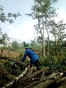 lyly_sexx 现场XXX聊天