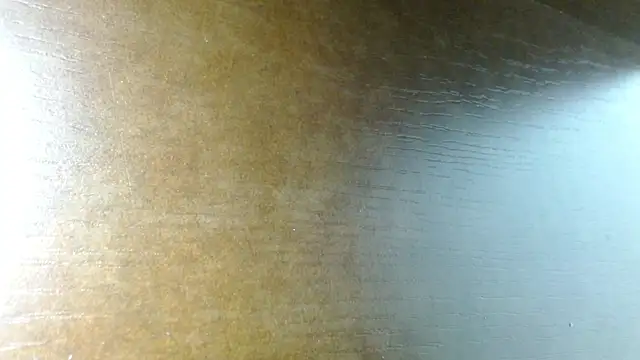 Show modela stripnolimits na web-kameri