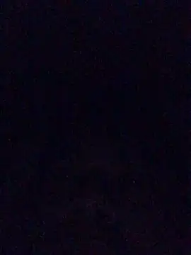 InstantPigweedのウェブカメラショー