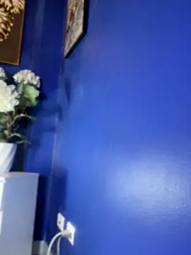 แชท XXX สดของ NovaFoxx