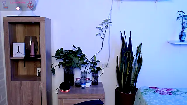 Magnuz_Col: онлайн-секс-чат