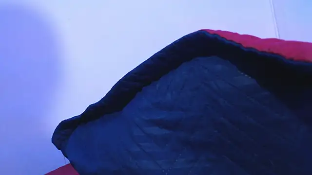 onixandghosty1 webkamerás műsora