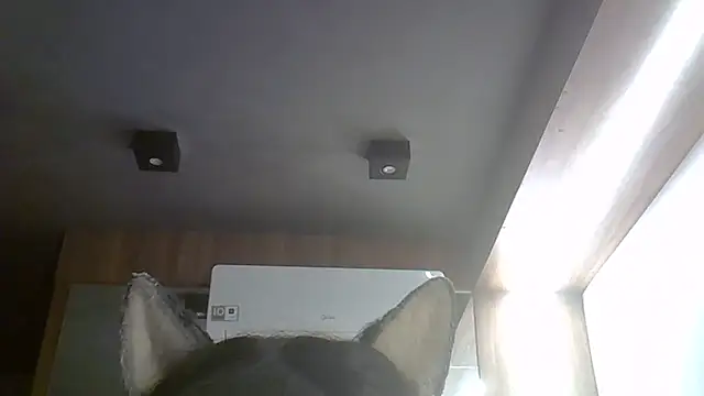 Chat XXX ao vivo de SkinnyKitten