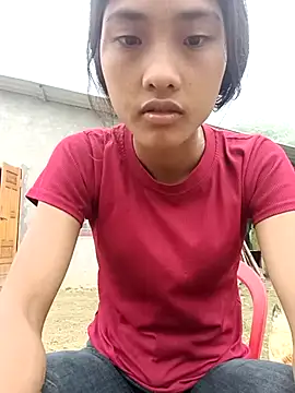 Hoa-tuylip Show Webcam