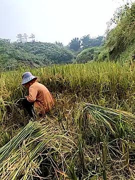 Онлайн чат XXX Ruby_Lucy