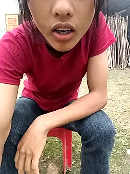 Hoa-tuylip webcam show