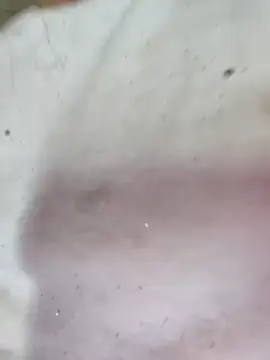 Ruby_Lucy élő XXX-chatje