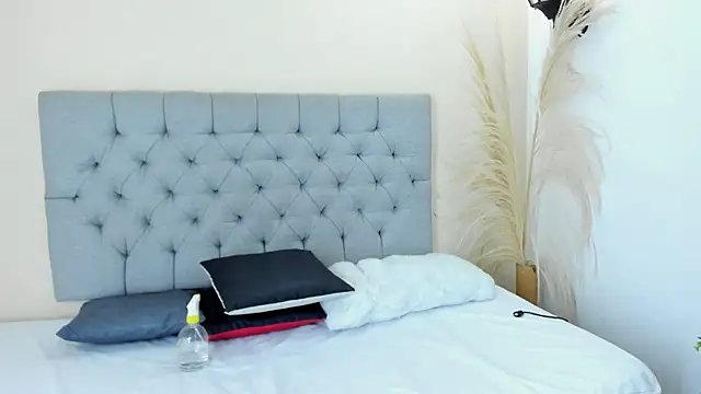 Show Webcam de bruno_miller_